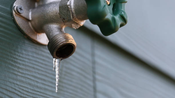 Best Local Plumber Services  in Honeoye Falls, NY